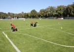 img3380_(1758620504).jpg
