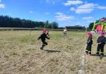 mokro-053_(1751436943).jpg