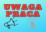Nabór na wolne stanowisko urzędnicze: Audytor wewnętrzny / Audytorka wewnętrzna